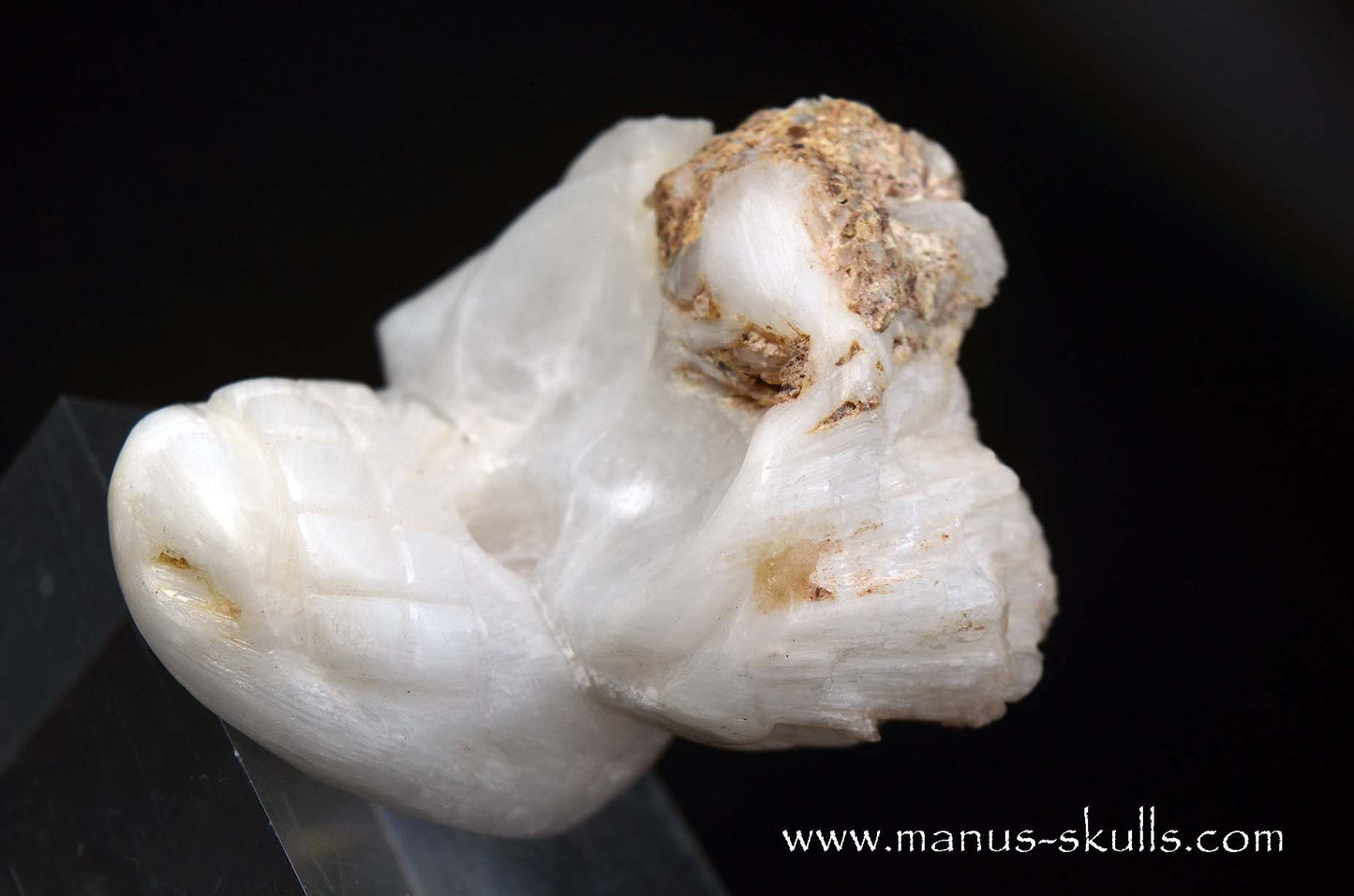 Scolecite Evolian Skull #09