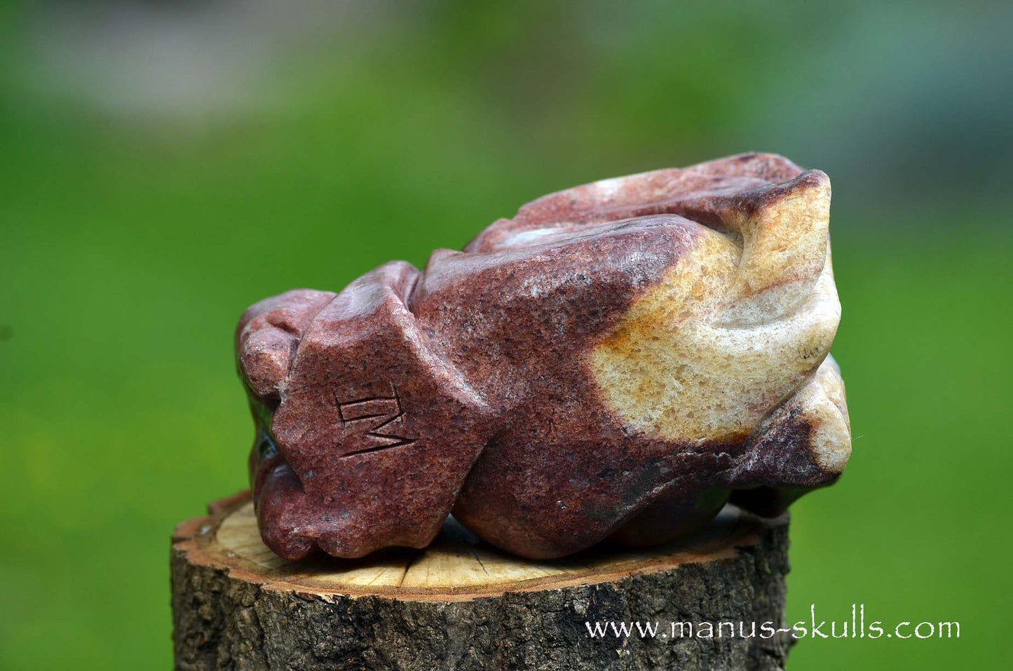Unique Jasper Dragon with Orgonite tube ...