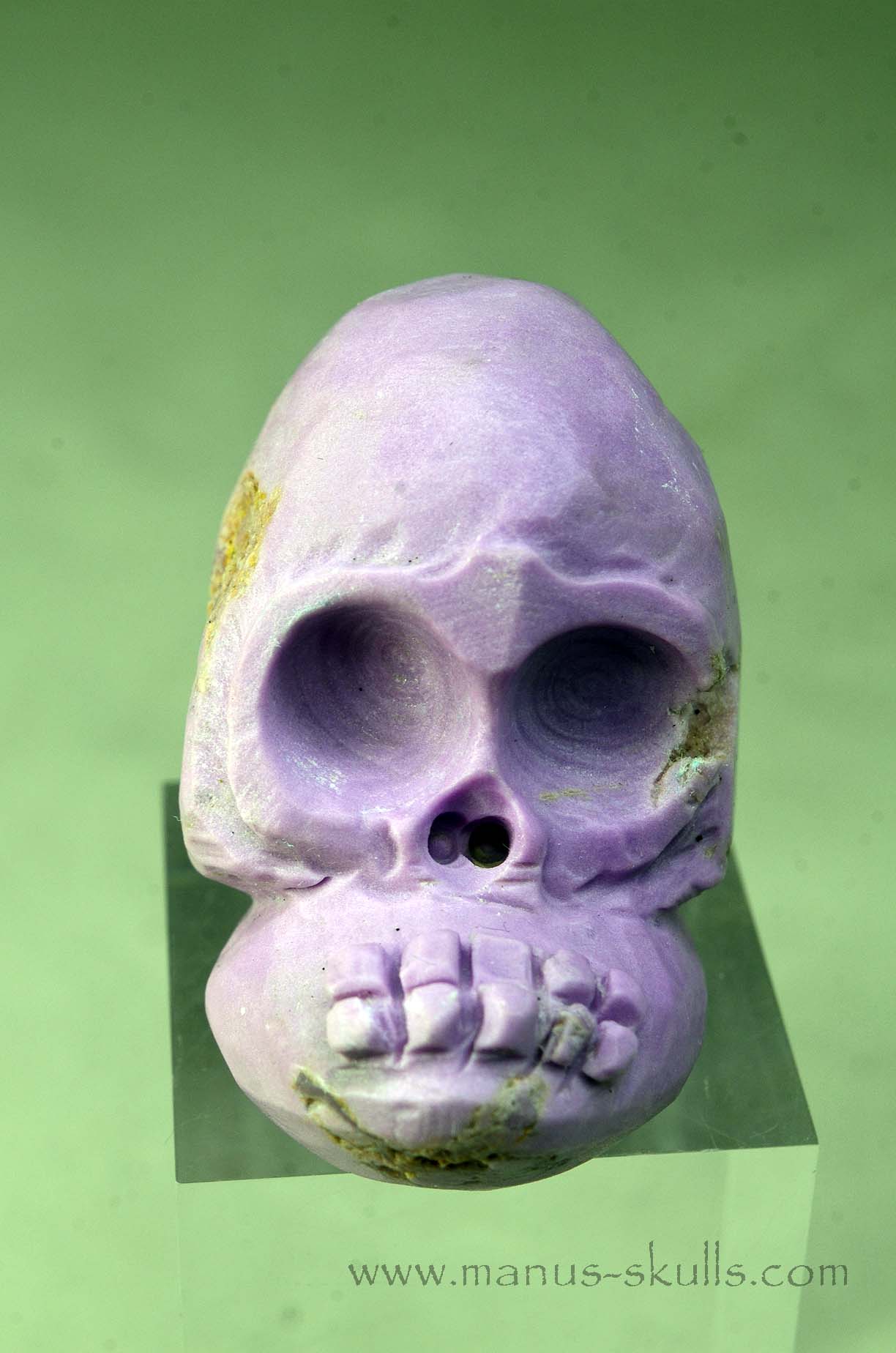 Phosphosiderite Evolian Skull #10