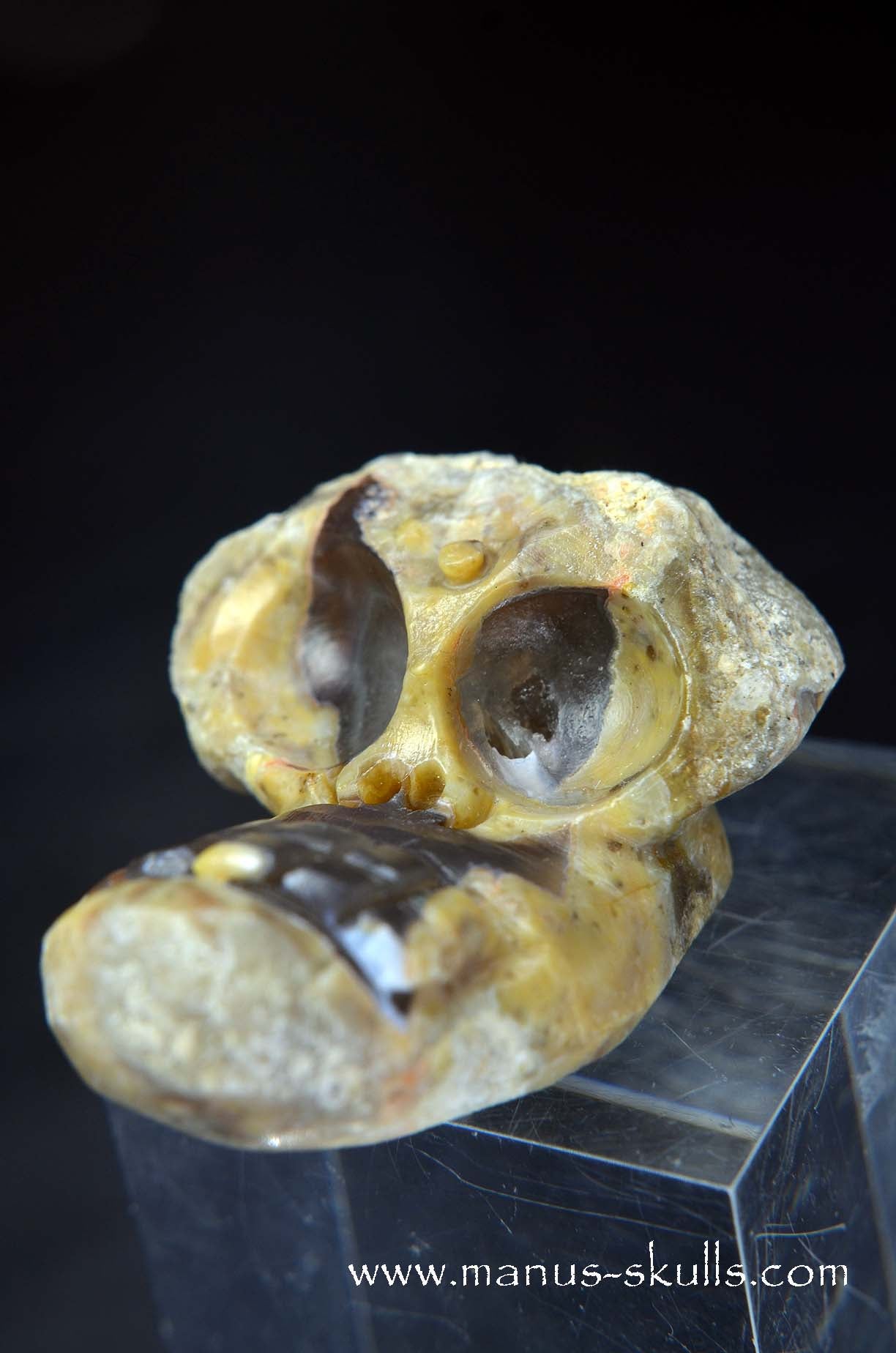 TNT-bed Thunderegg Evolian #09