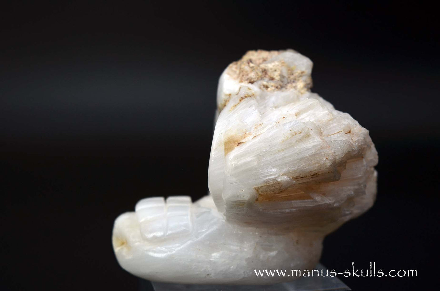 Scolecite Evolian Skull #09