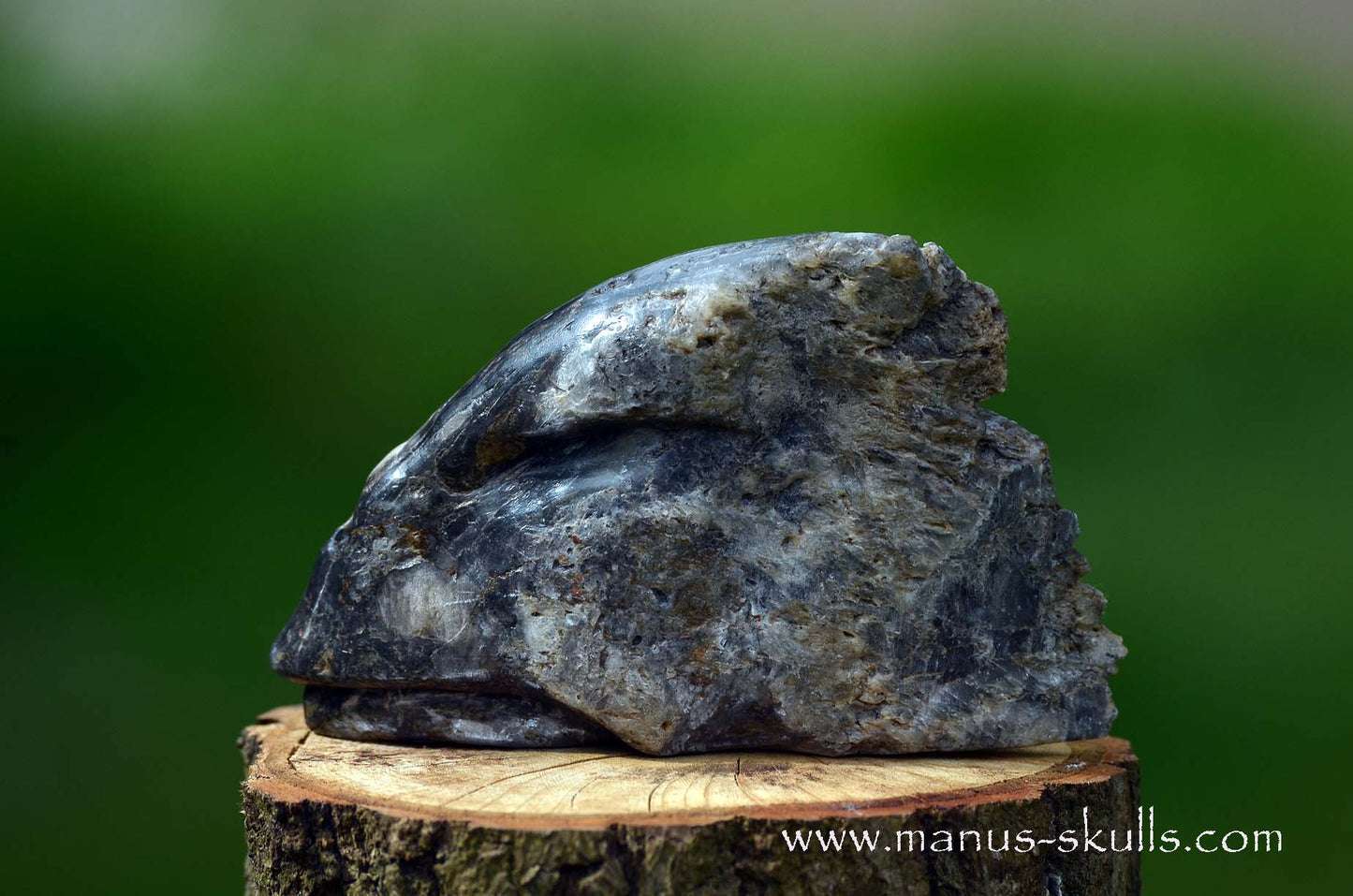Selenite Marienglas Dragon black