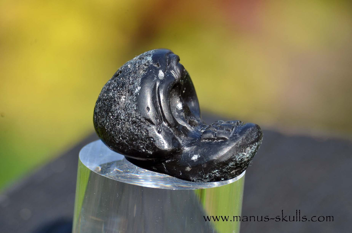 Agni Manitite Evolian #10