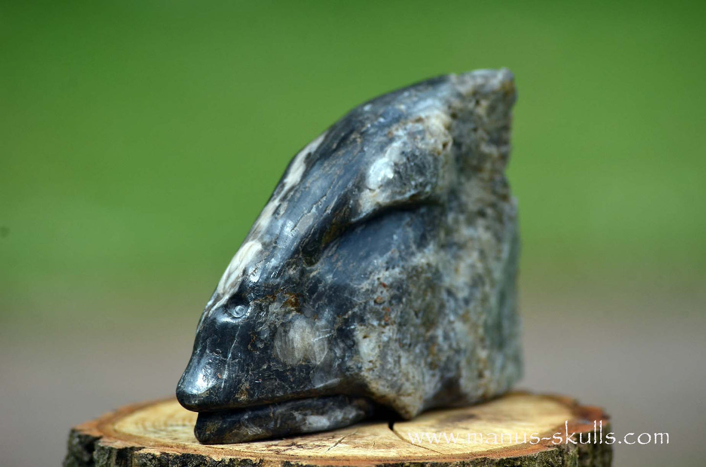 Selenite Marienglas Dragon black