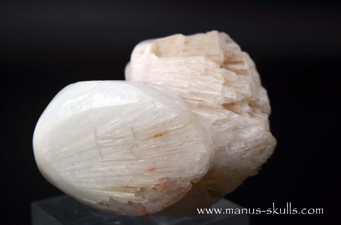 Scolecite Evolian Skull #09