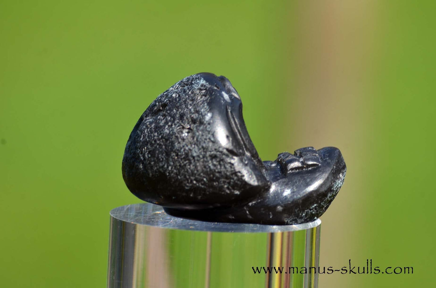 Agni Manitite Evolian #10