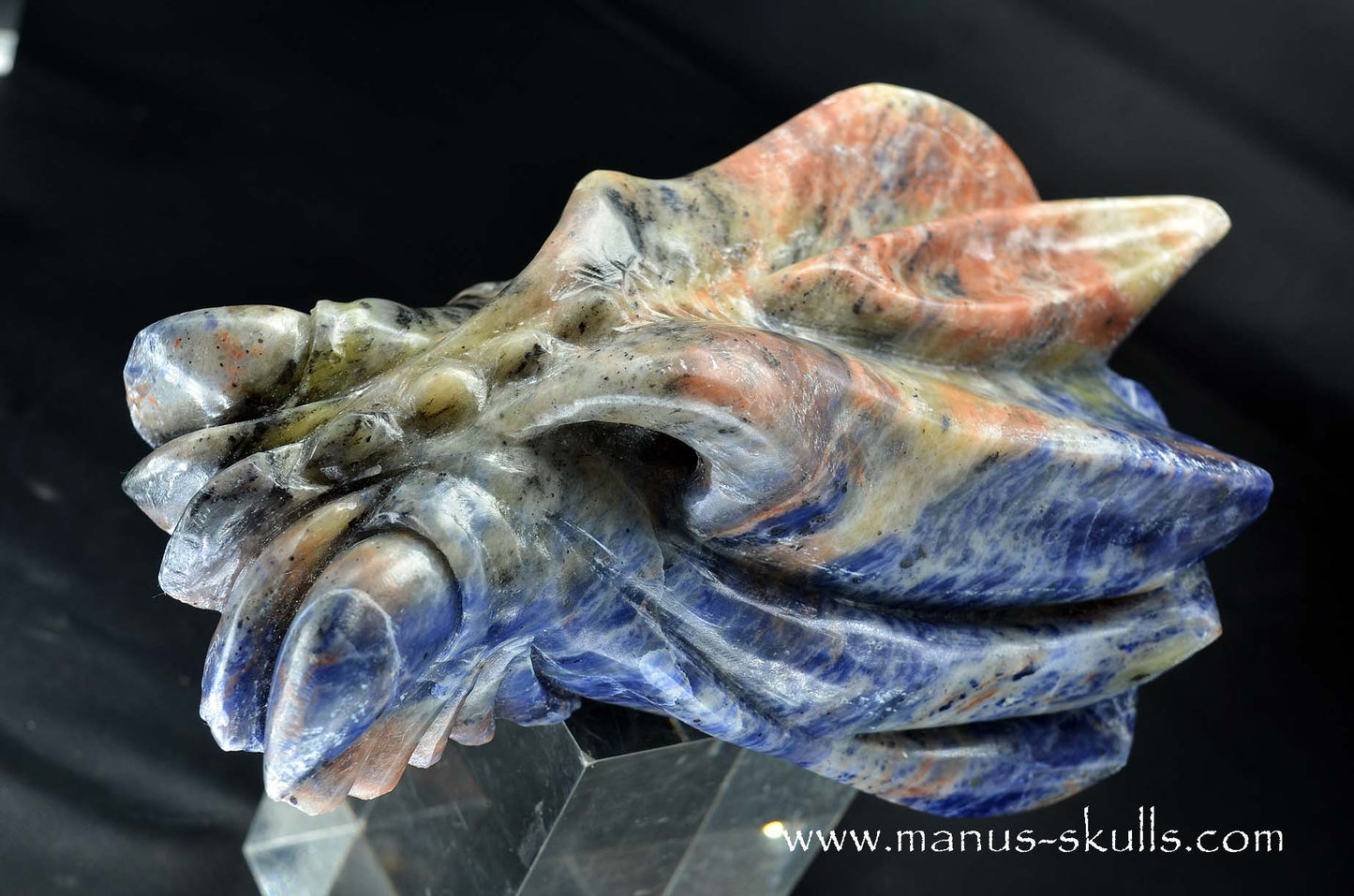 Sunset Sodalite Dragon