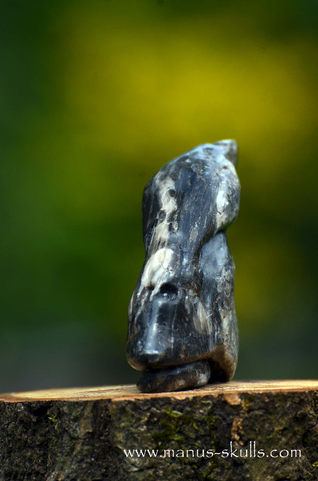 Selenite Marienglas Dragon black