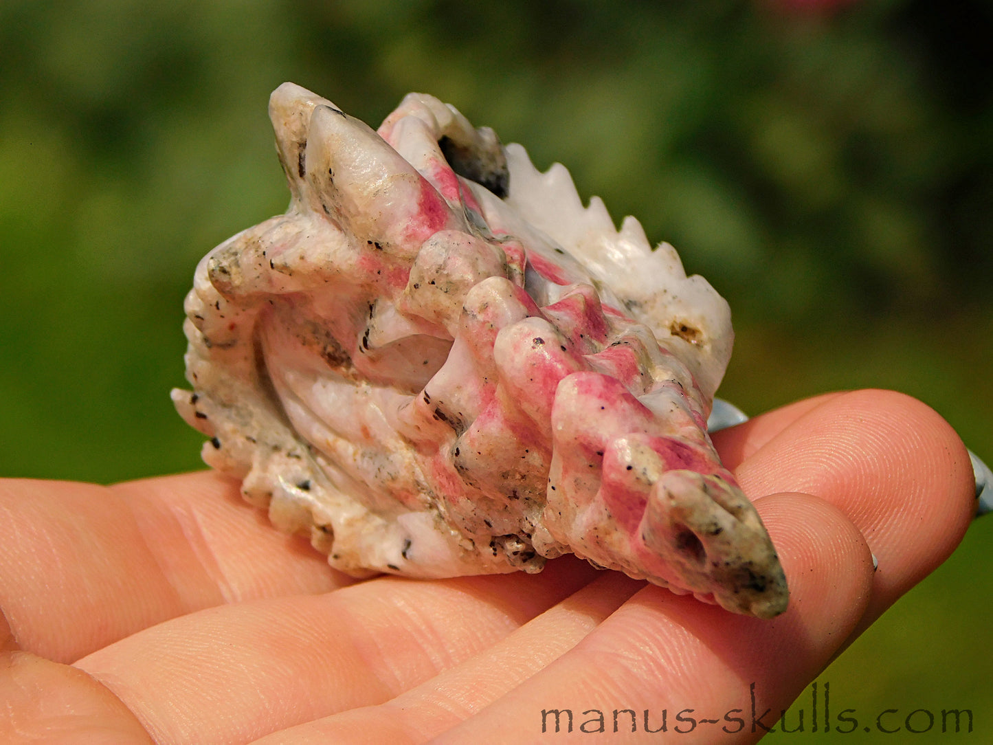 Tugtupite Dragon