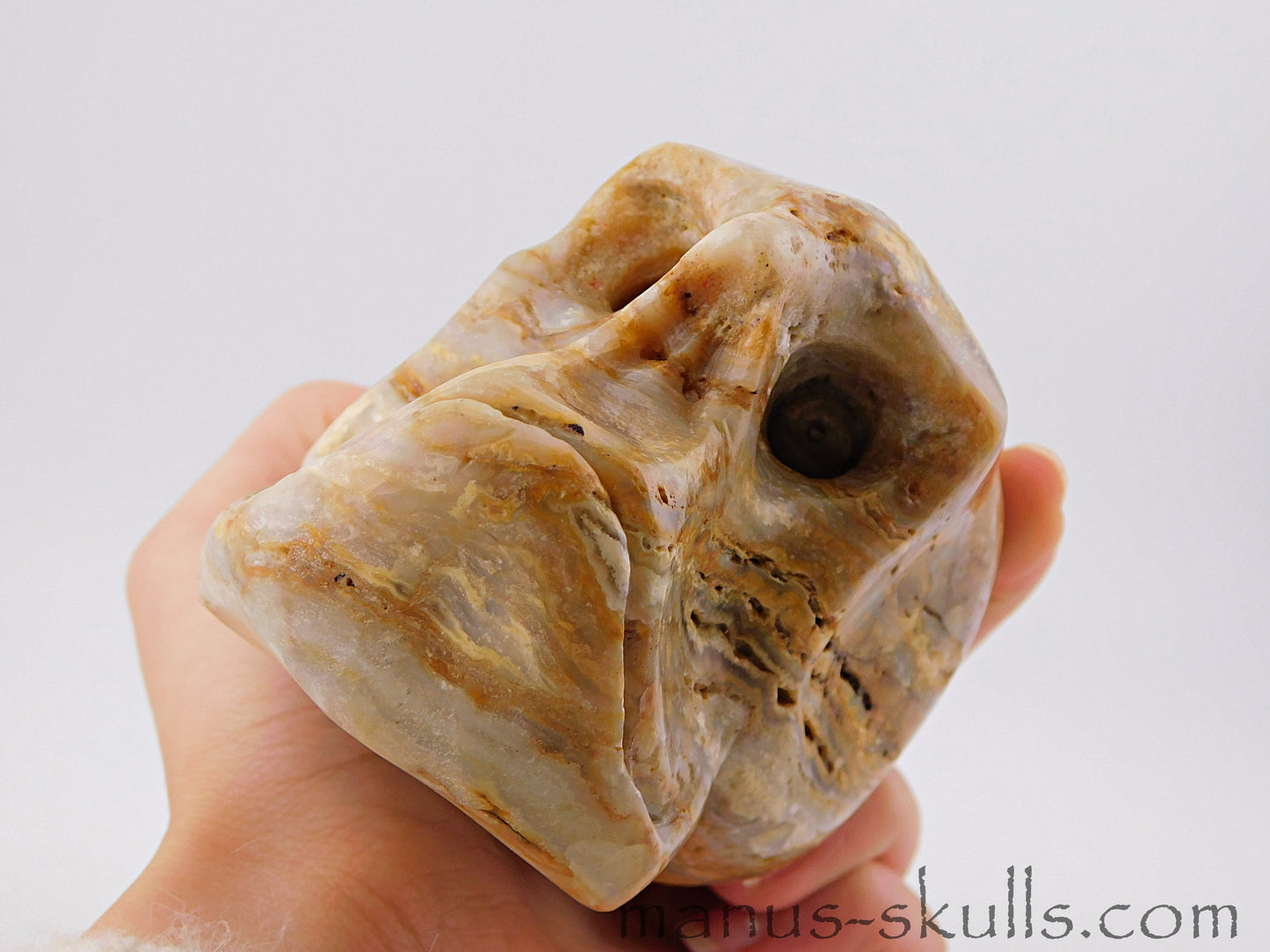 CRAZY LACE AGATE toothless Skull .....
