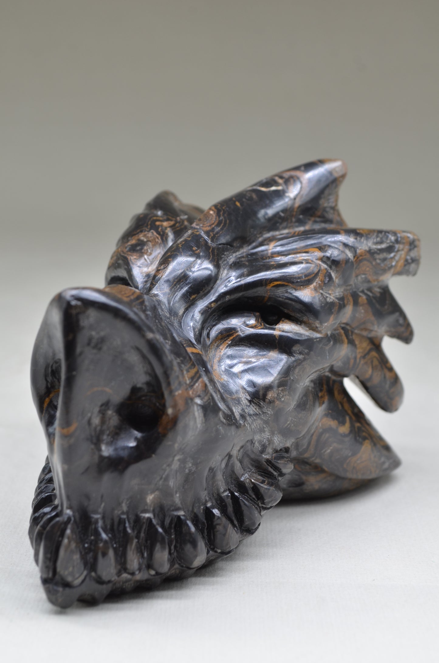 Stromatolite Manus  Dragon
