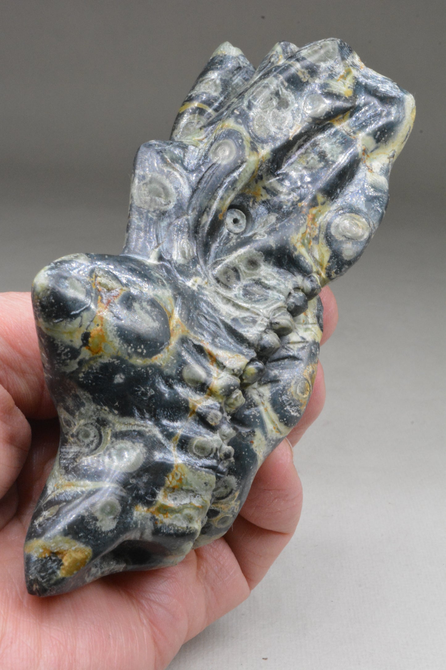 Kambaba Jasper Dragon