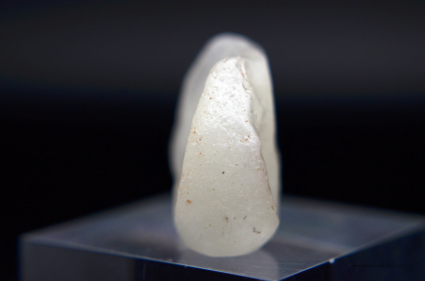 Libyan Desert Glass Skull