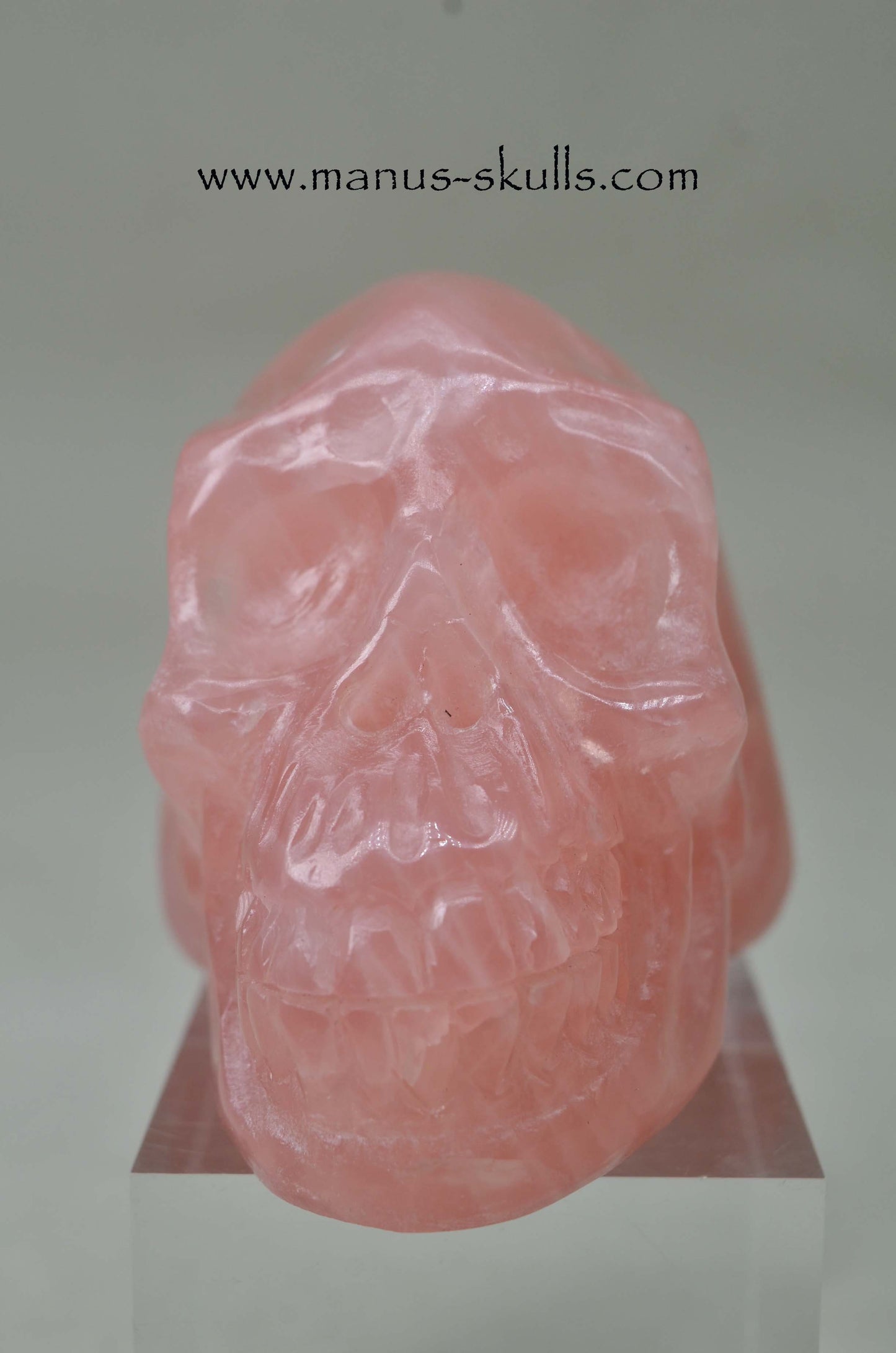 Rose Quartz Skull