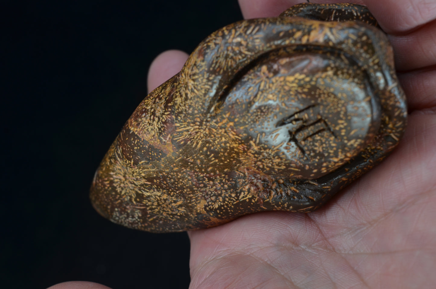 Star Rhyolite Jasper toothless Skull