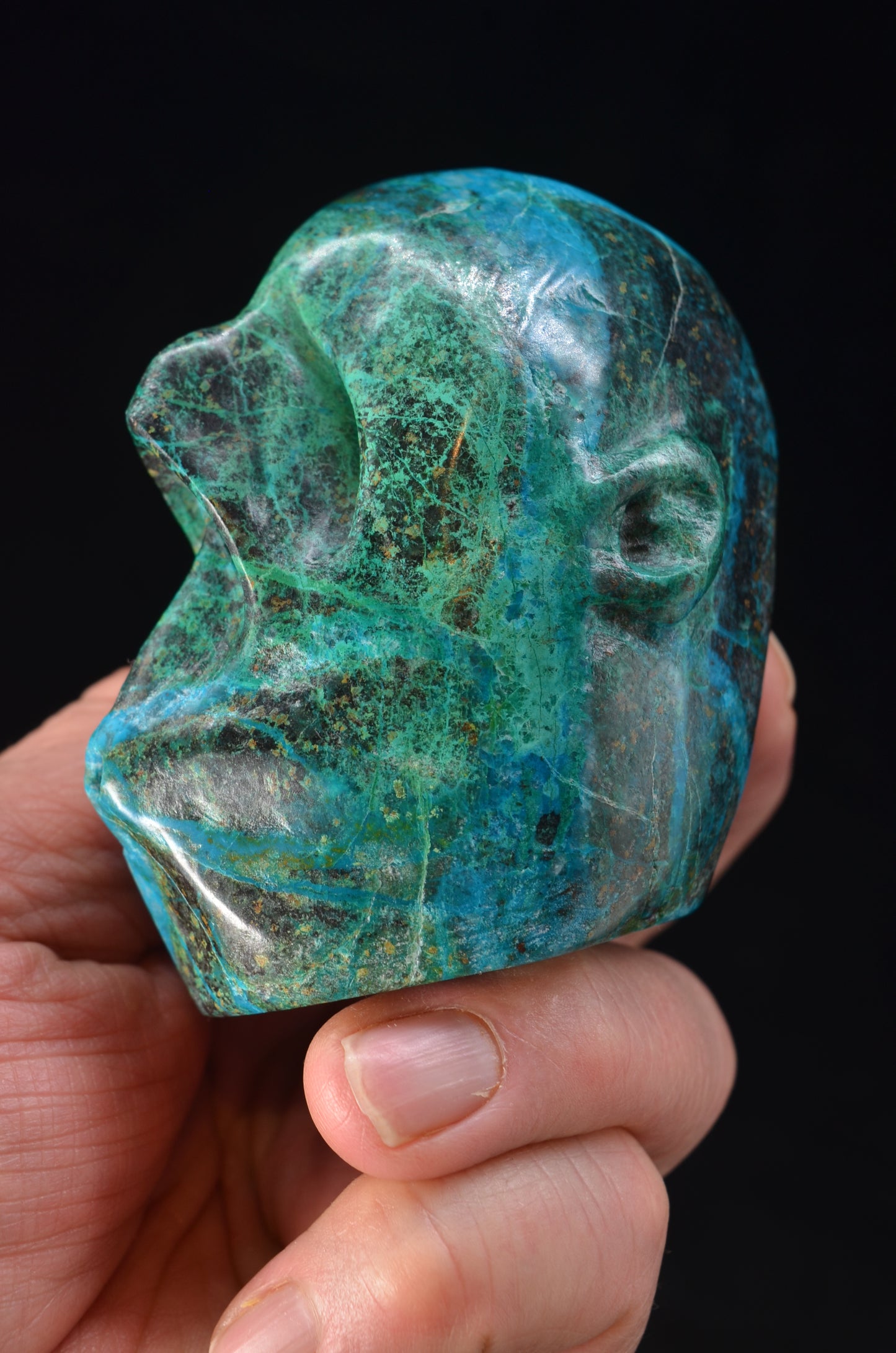 Chrysocolla "Blow of Life" Skull