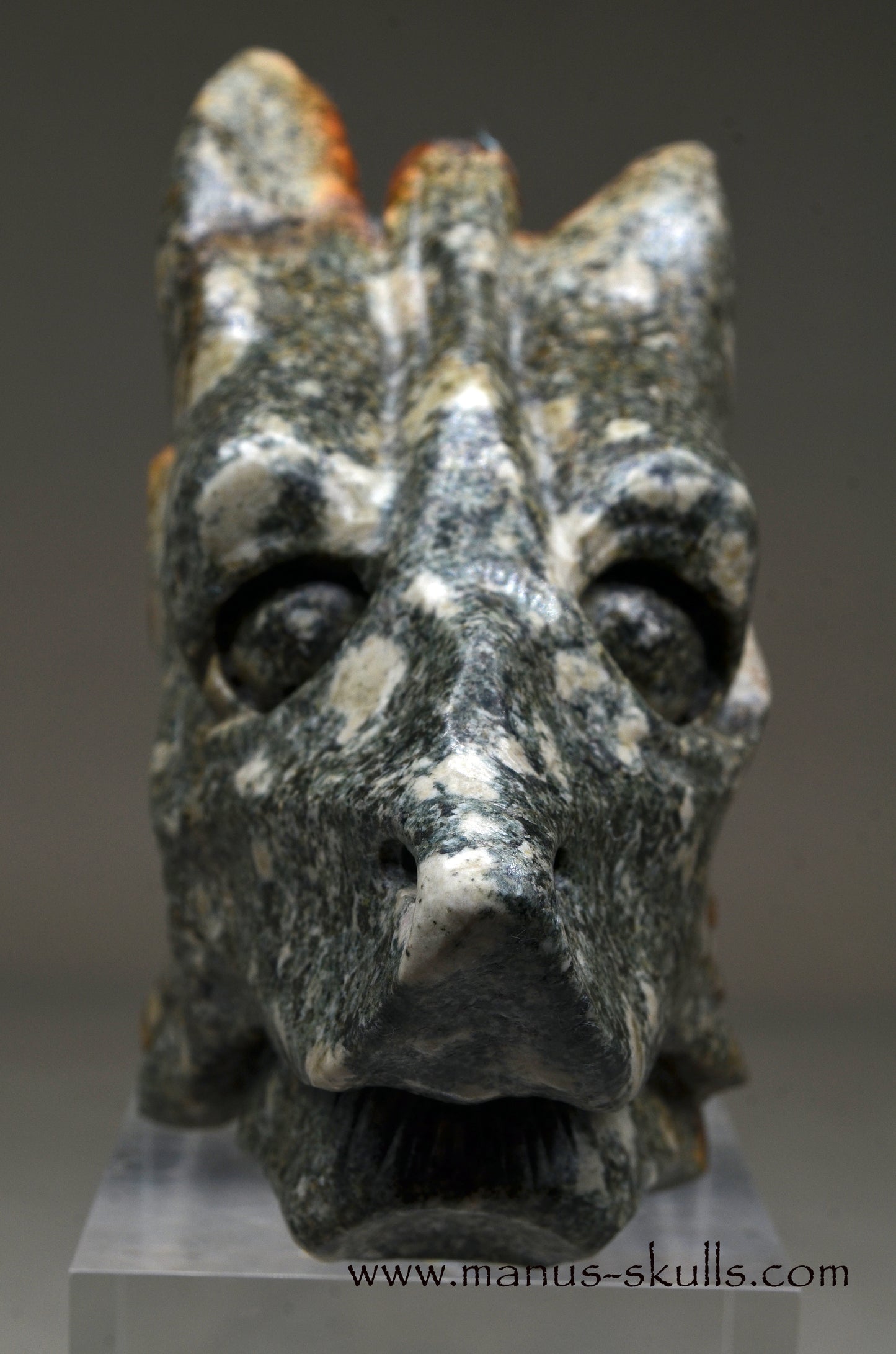 Special Preseli Bluestone Dragon Wolf ....