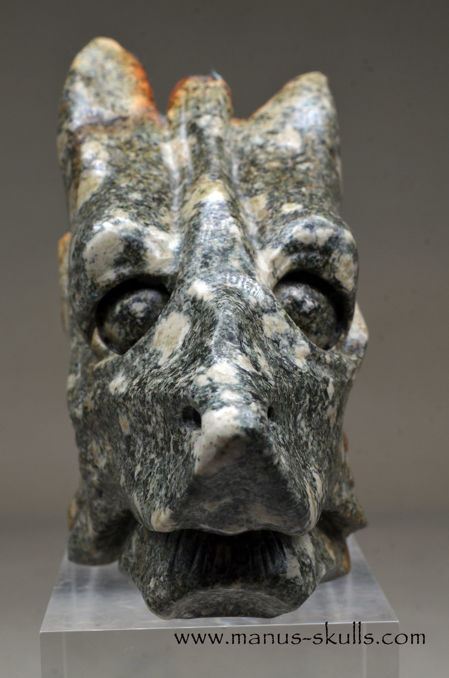 Special Preseli Bluestone Dragon Wolf ....