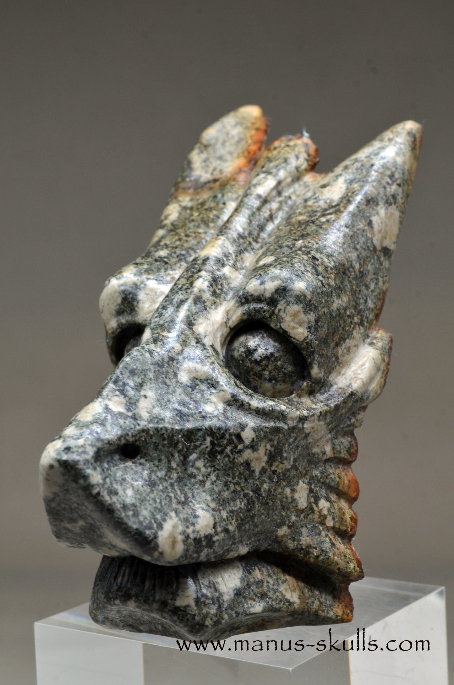 Special Preseli Bluestone Dragon Wolf ....