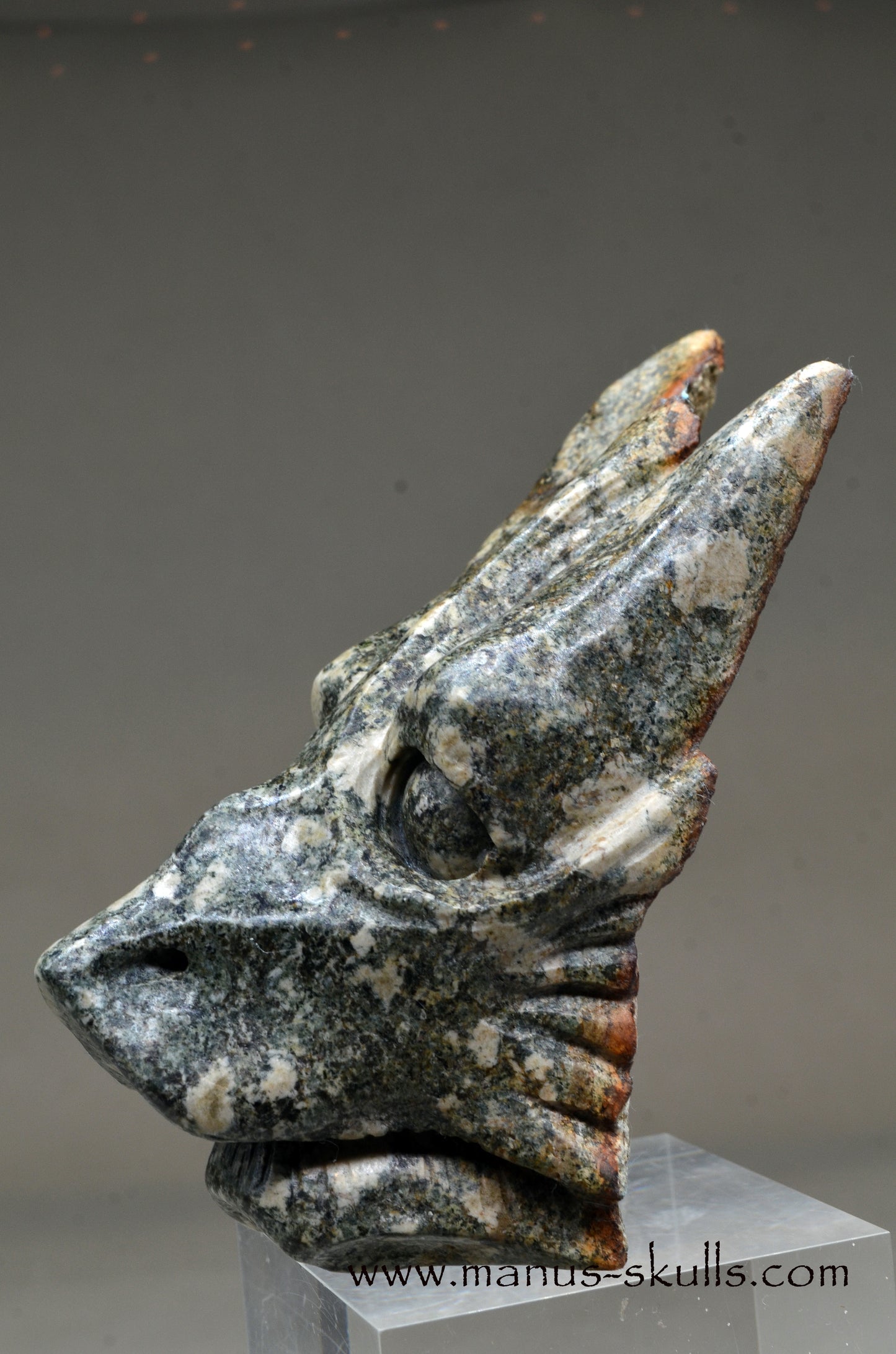Special Preseli Bluestone Dragon Wolf ....