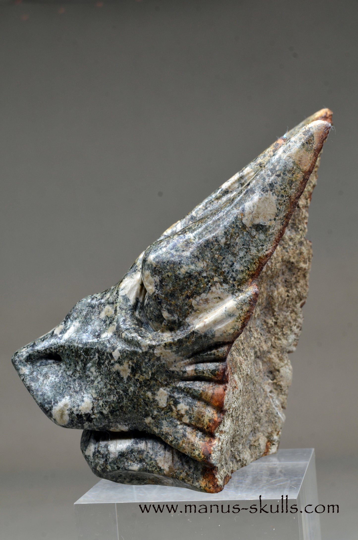 Special Preseli Bluestone Dragon Wolf ....