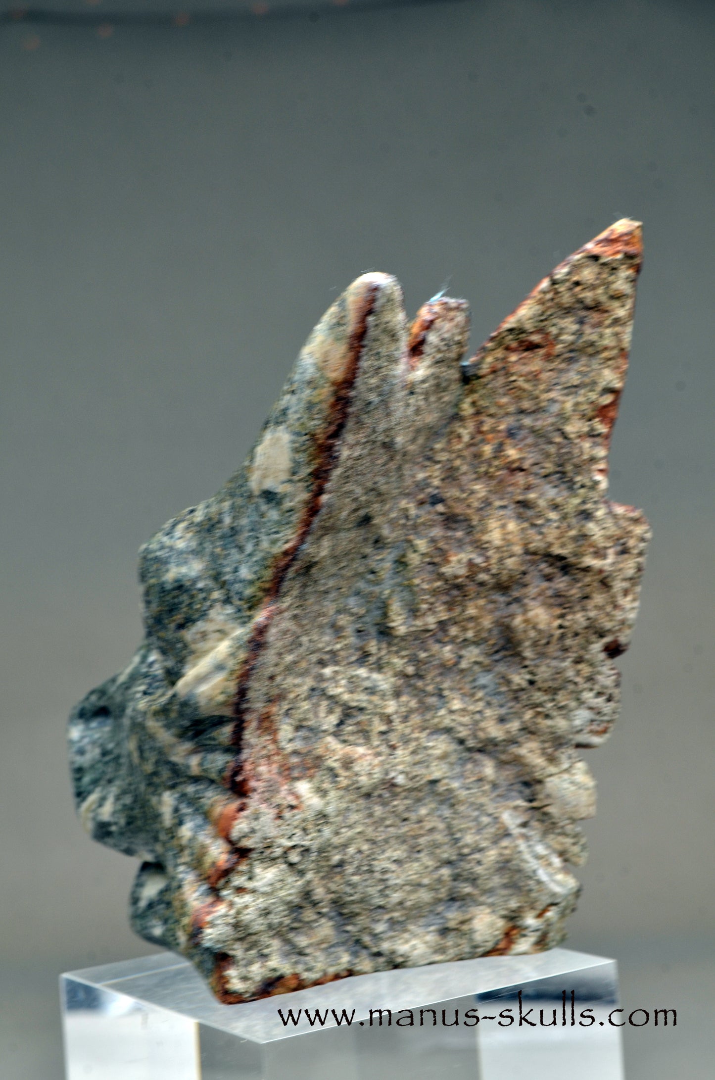 Special Preseli Bluestone Dragon Wolf ....