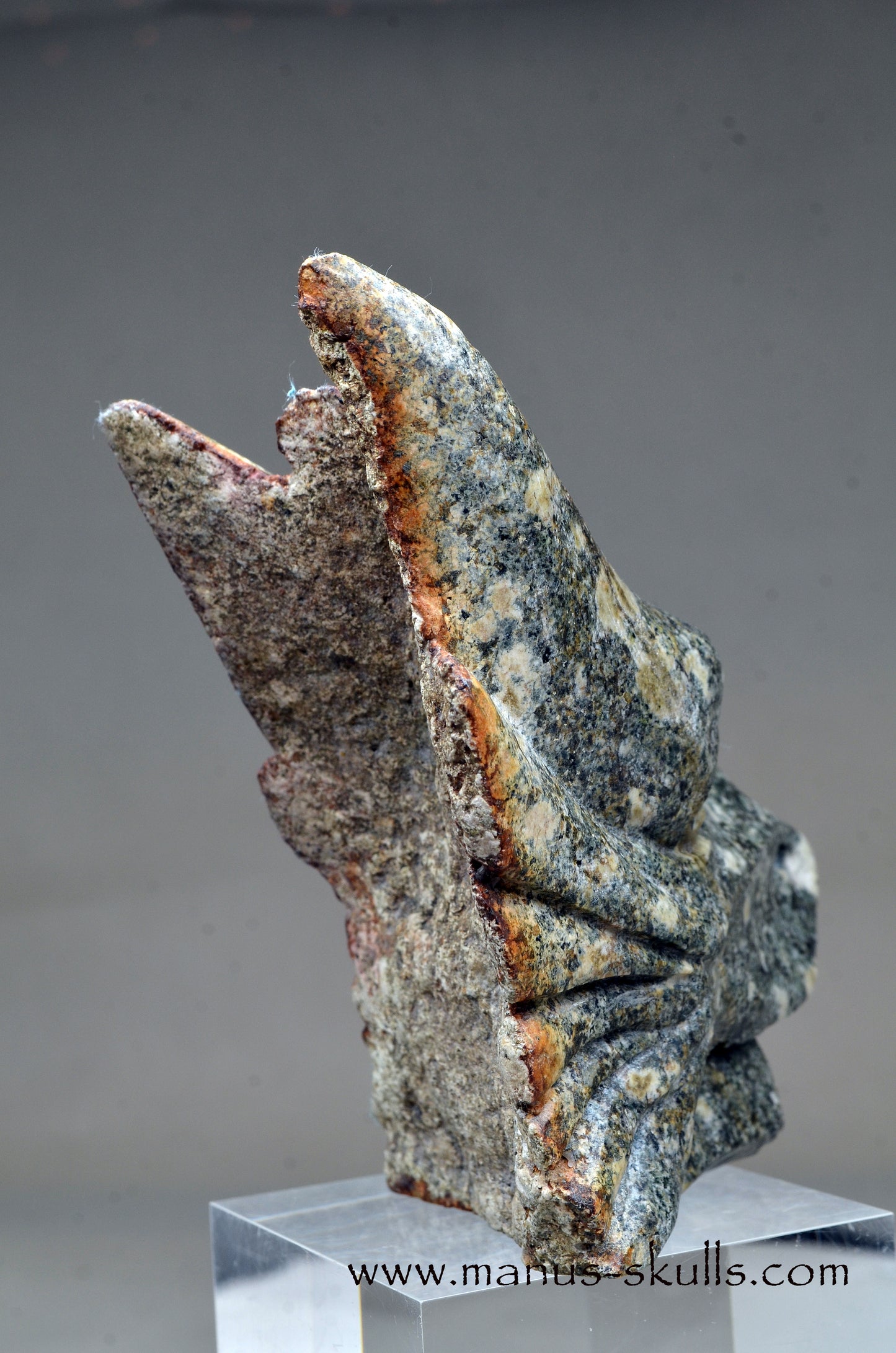 Special Preseli Bluestone Dragon Wolf ....