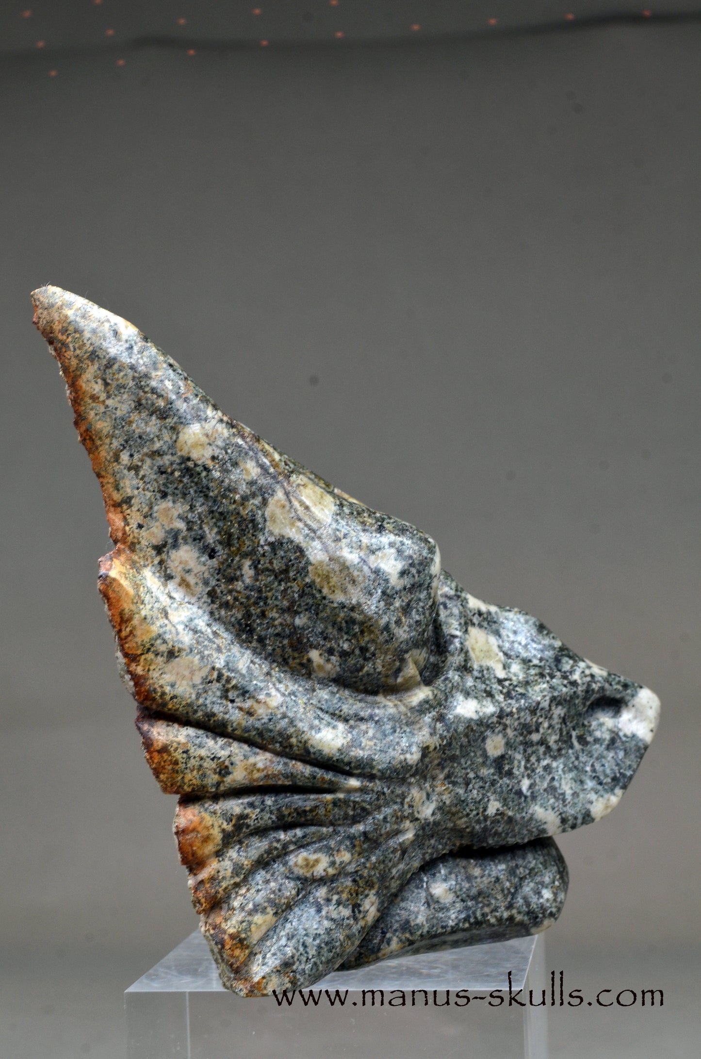 Special Preseli Bluestone Dragon Wolf ....