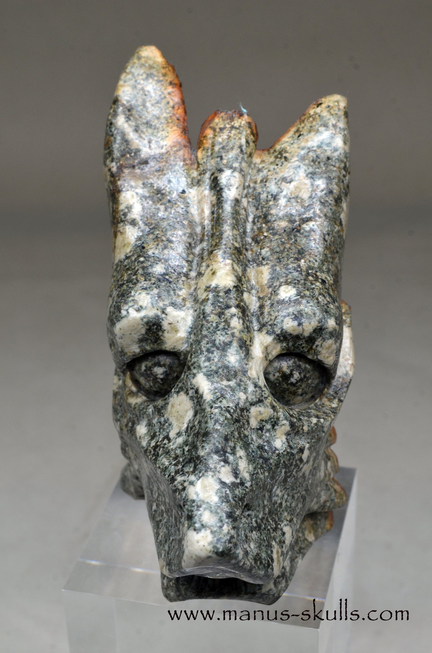 Special Preseli Bluestone Dragon Wolf ....