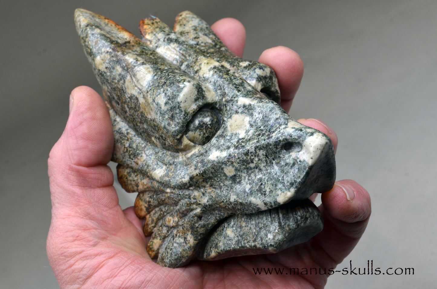 Special Preseli Bluestone Dragon Wolf ....