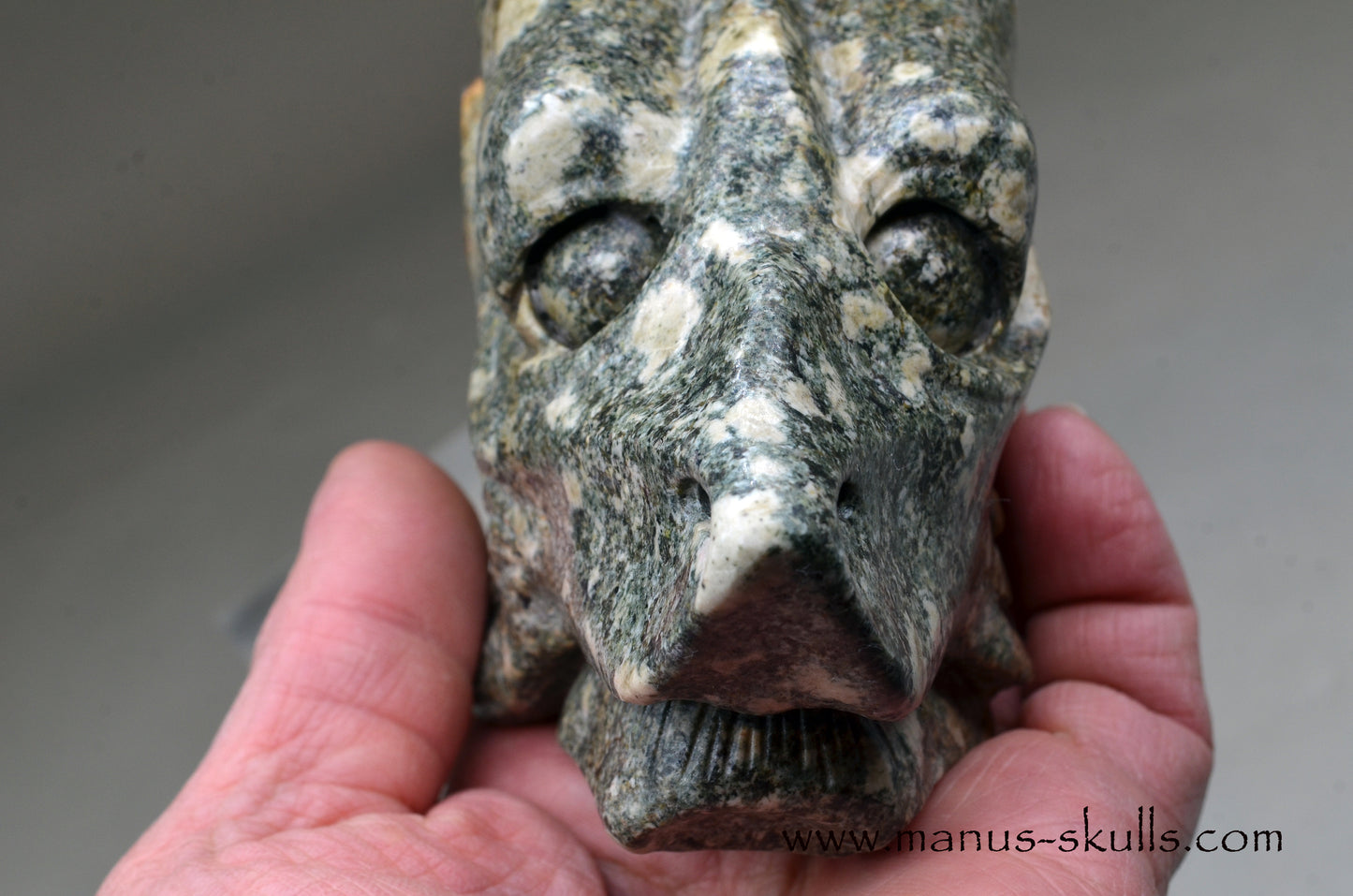 Special Preseli Bluestone Dragon Wolf ....