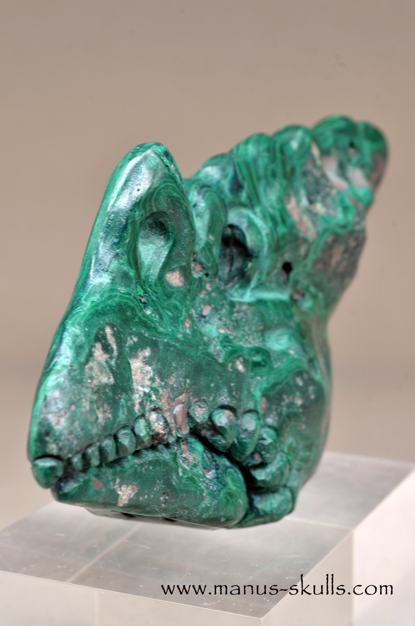 Malachite Dragon