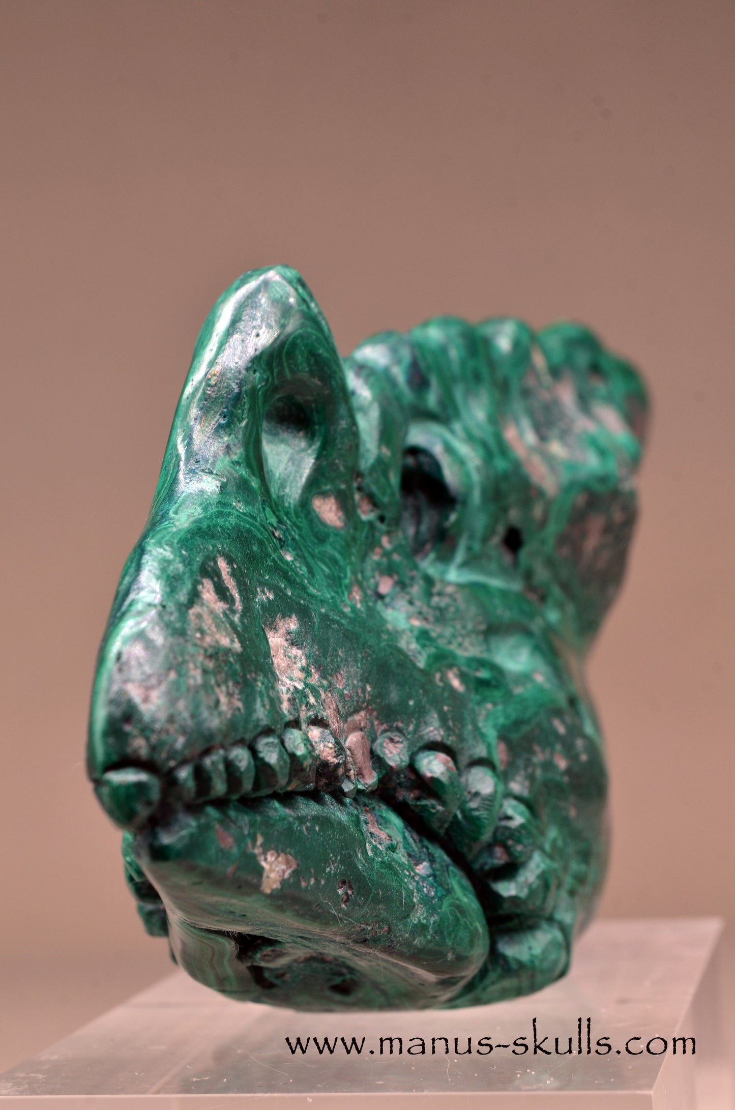 Malachite Dragon