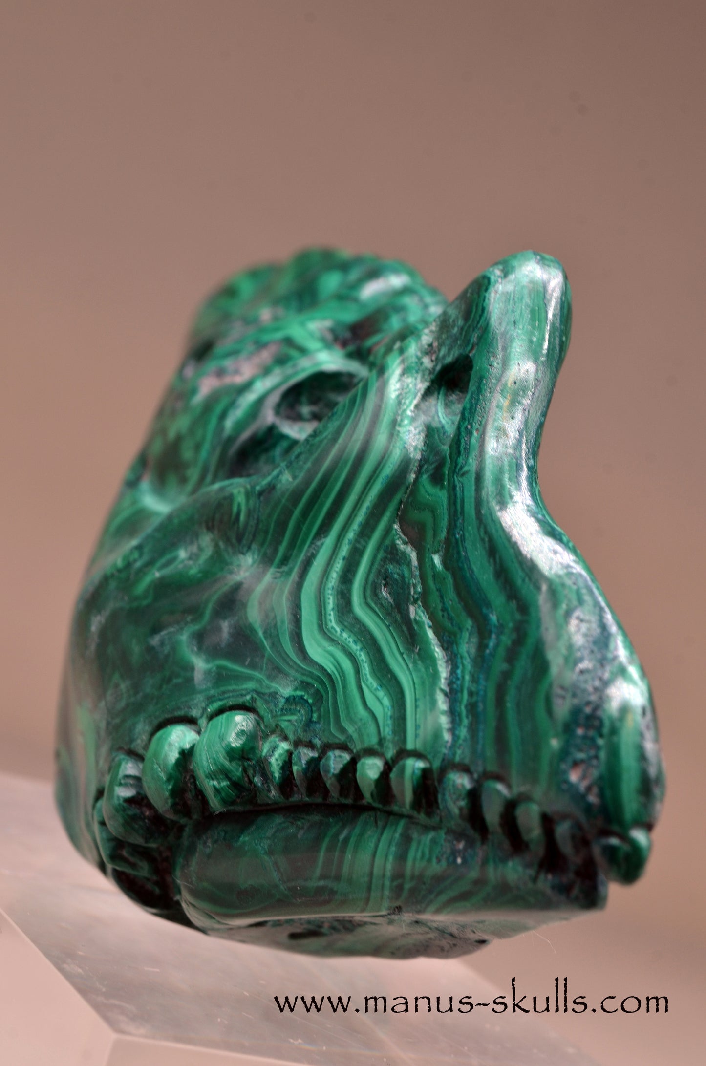 Malachite Dragon