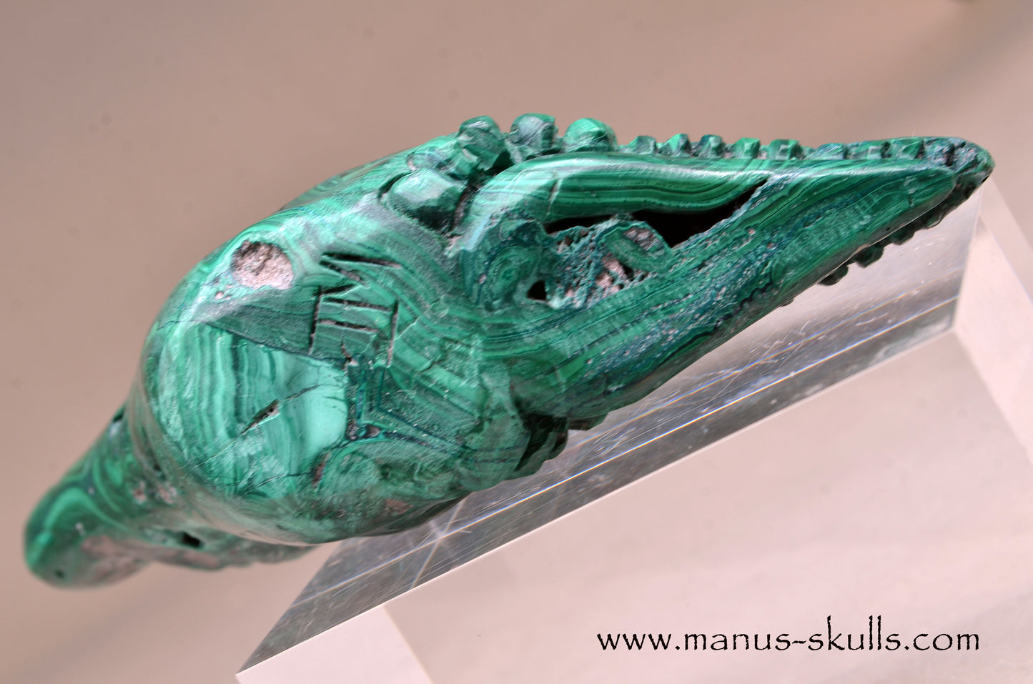 Malachite Dragon