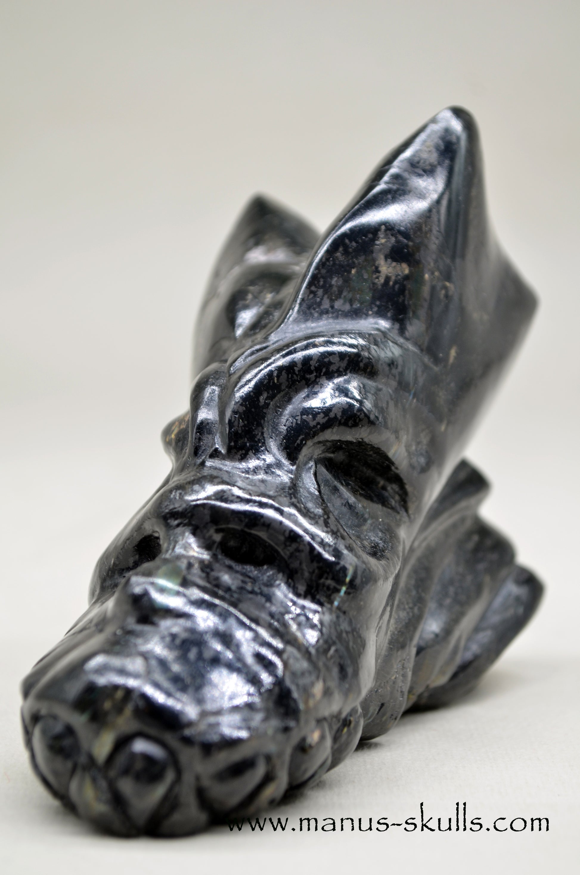 Nuummite Manus Dragon