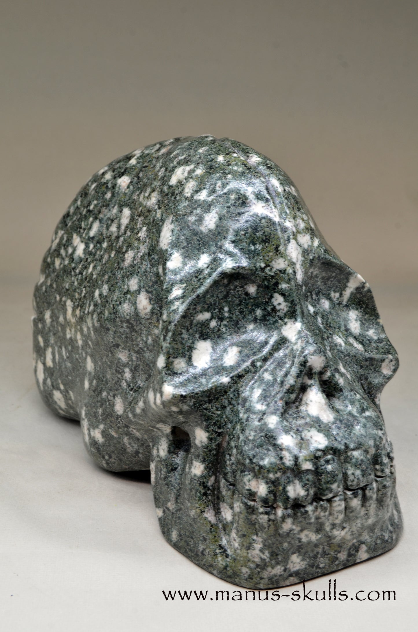 XL Preseli Bluestone Spiral Skull with FREE brainstem pendant!
