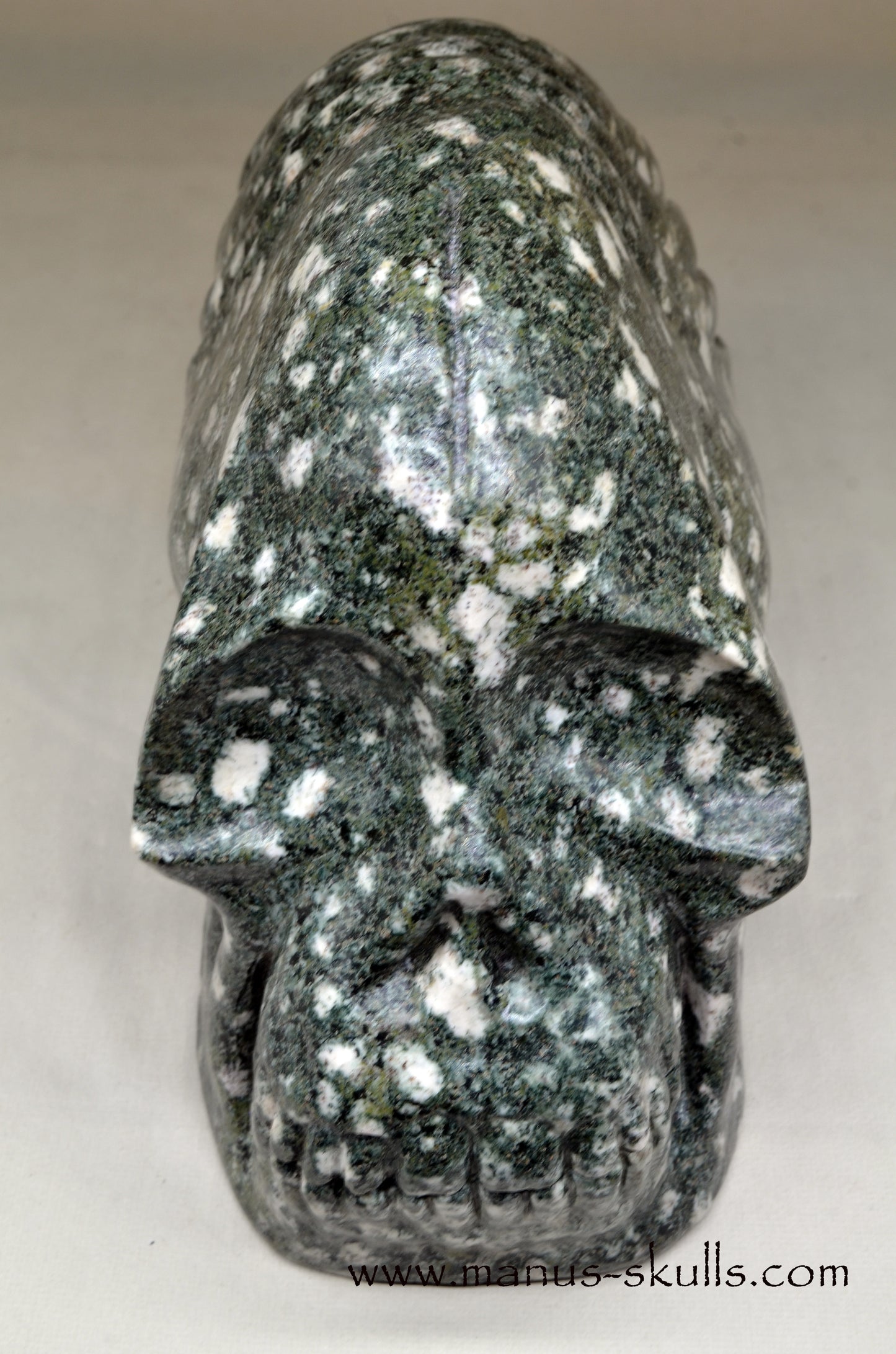 XL Preseli Bluestone Spiral Skull with FREE brainstem pendant!