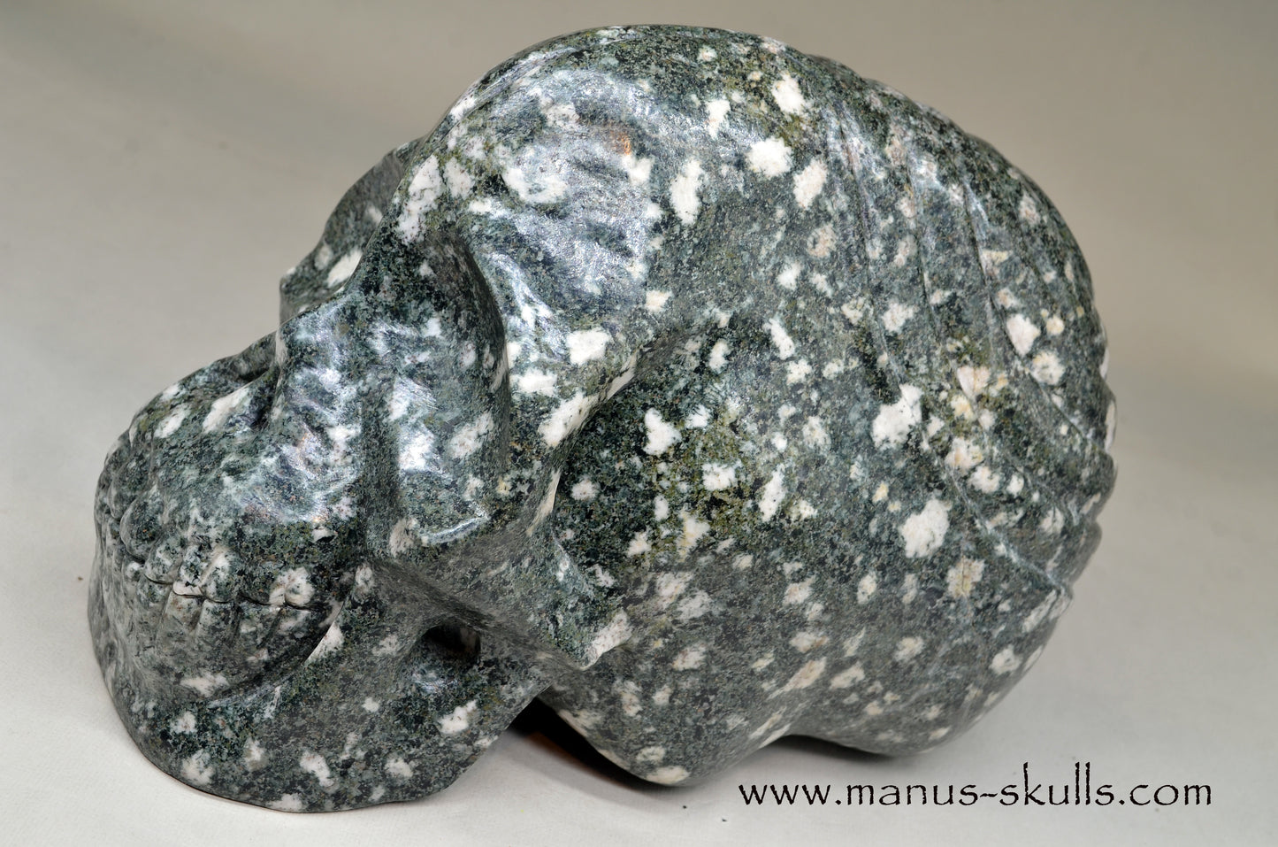 XL Preseli Bluestone Spiral Skull with FREE brainstem pendant!