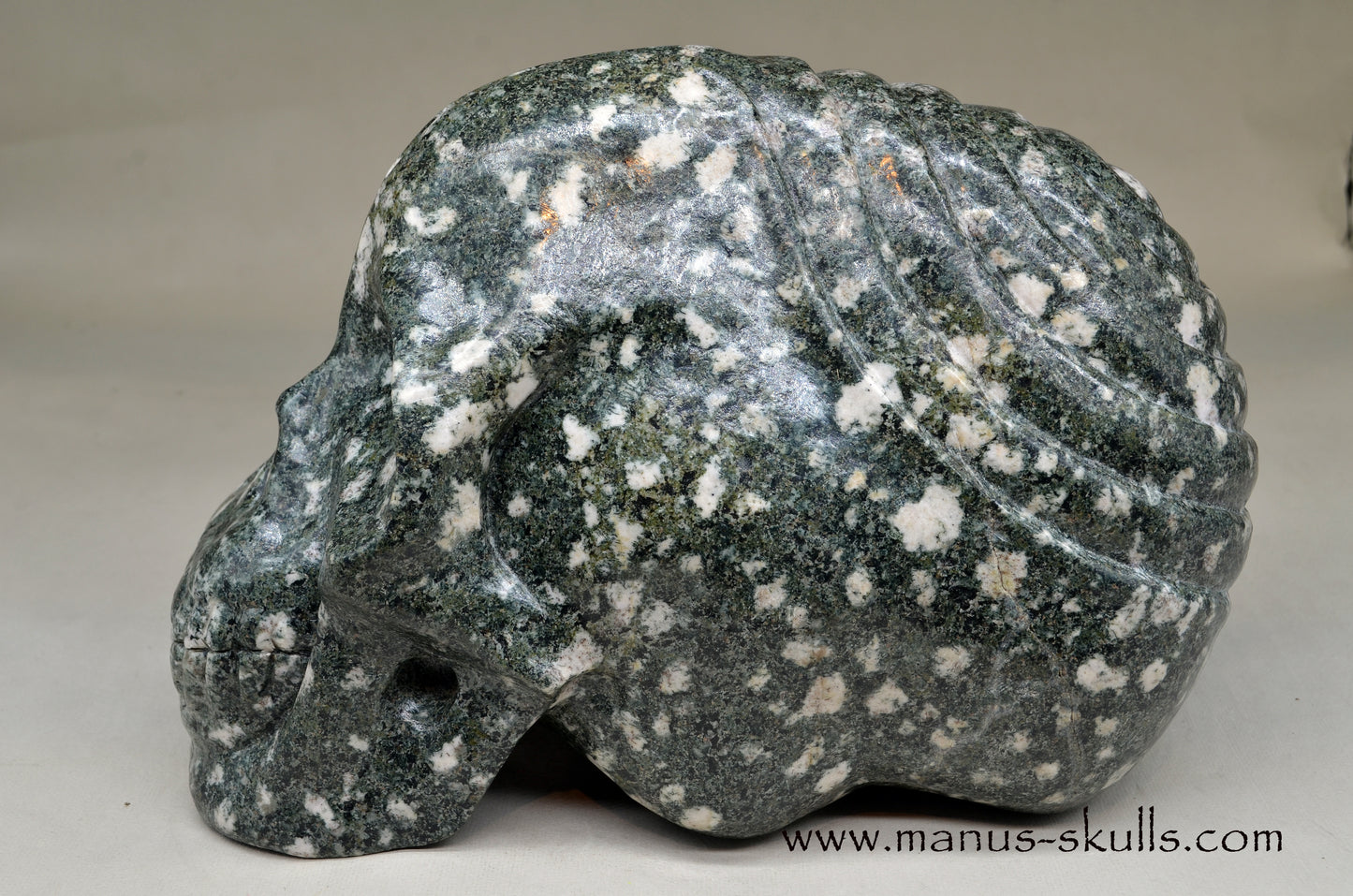 XL Preseli Bluestone Spiral Skull with FREE brainstem pendant!
