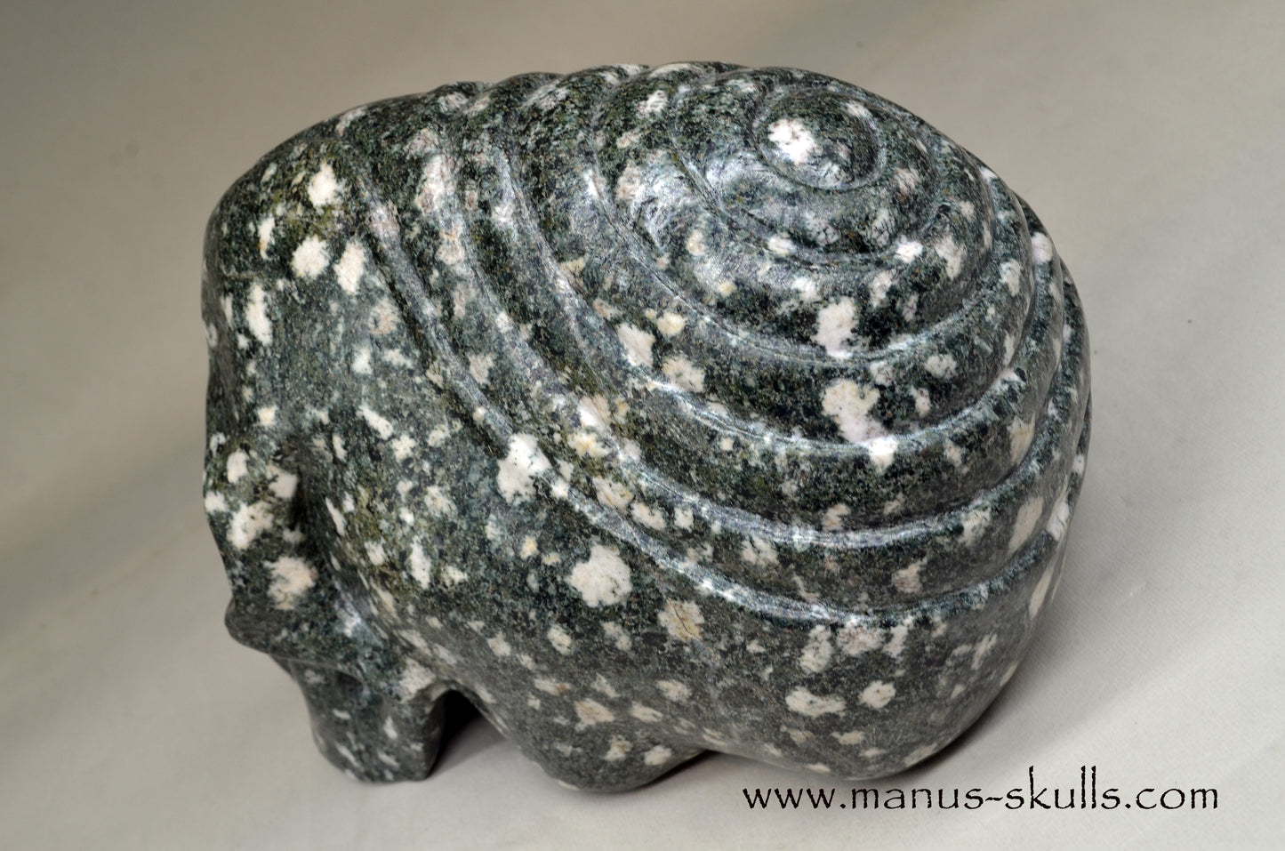 XL Preseli Bluestone Spiral Skull with FREE brainstem pendant!