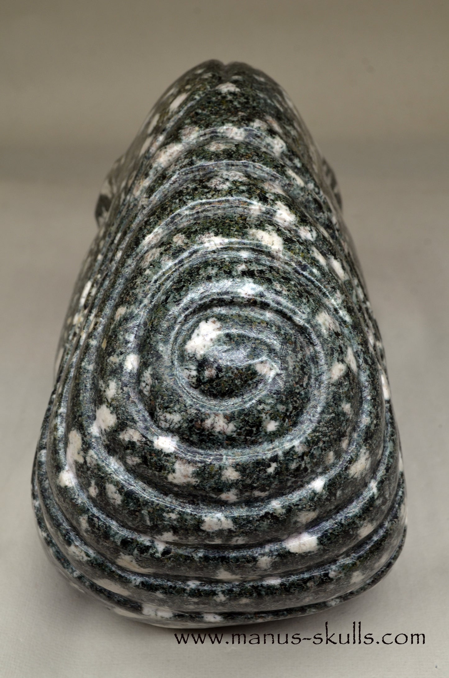 XL Preseli Bluestone Spiral Skull with FREE brainstem pendant!
