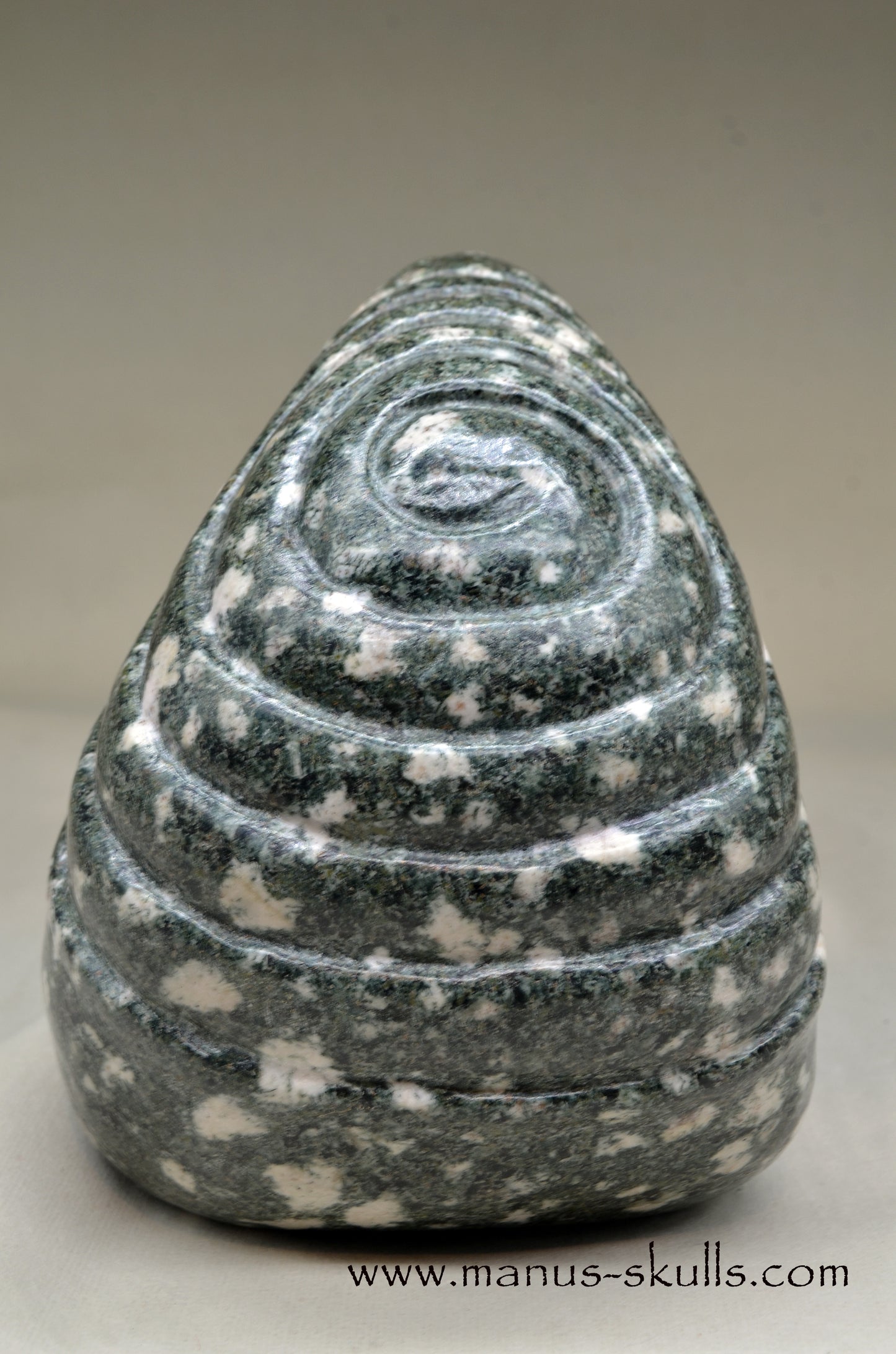 XL Preseli Bluestone Spiral Skull with FREE brainstem pendant!