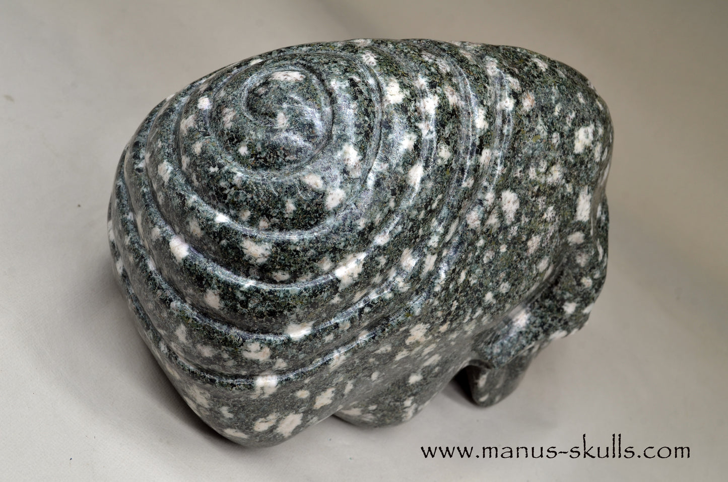 XL Preseli Bluestone Spiral Skull with FREE brainstem pendant!