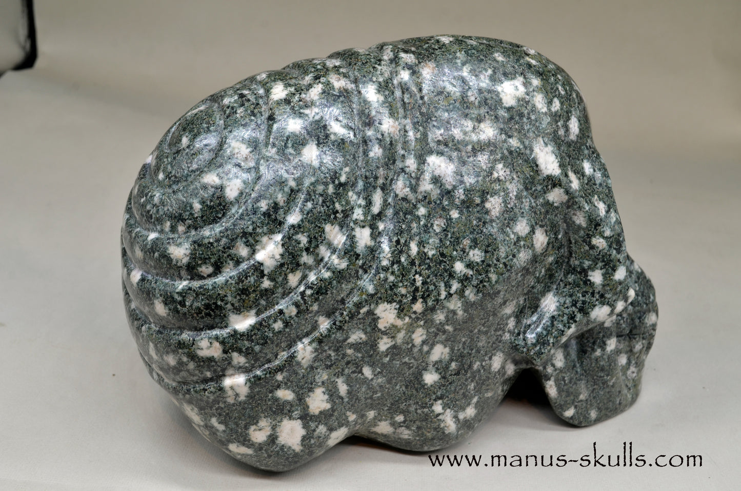 XL Preseli Bluestone Spiral Skull with FREE brainstem pendant!