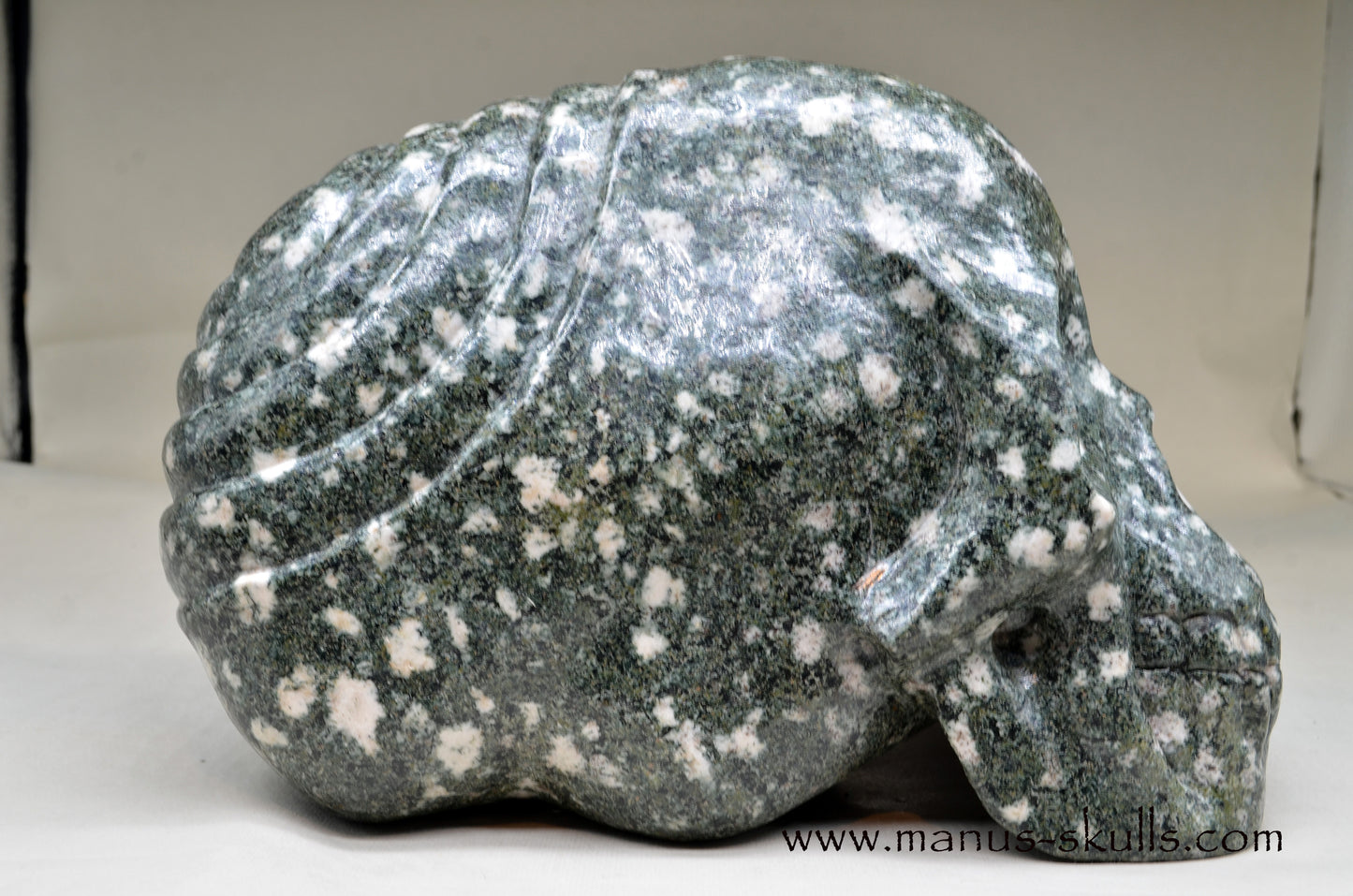 XL Preseli Bluestone Spiral Skull with FREE brainstem pendant!