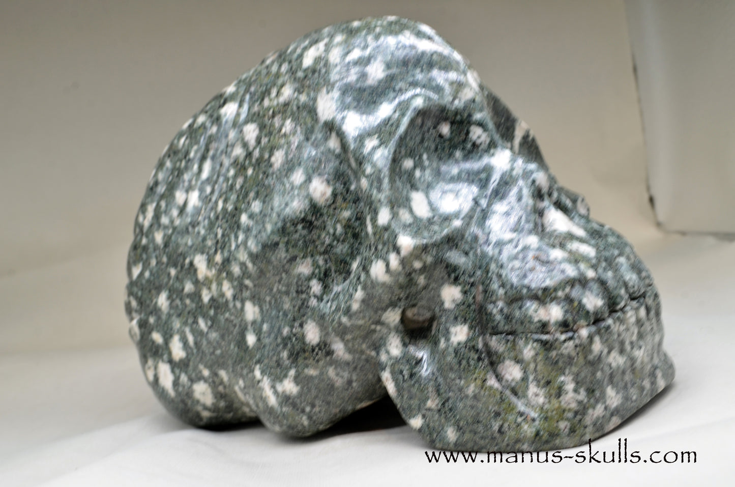 XL Preseli Bluestone Spiral Skull with FREE brainstem pendant!