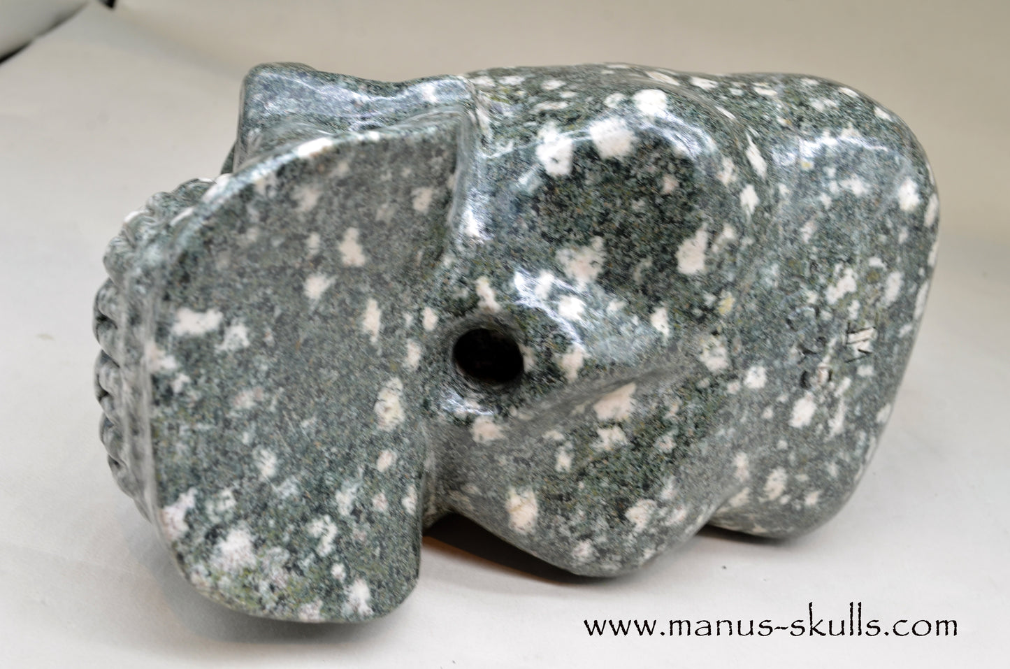 XL Preseli Bluestone Spiral Skull with FREE brainstem pendant!