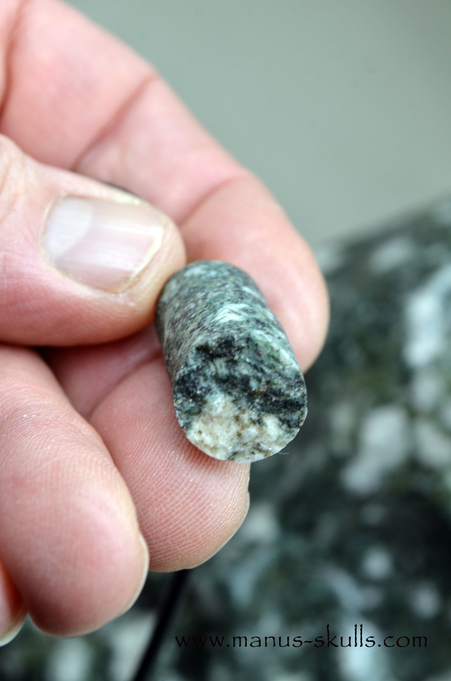 XL Preseli Bluestone Spiral Skull with FREE brainstem pendant!