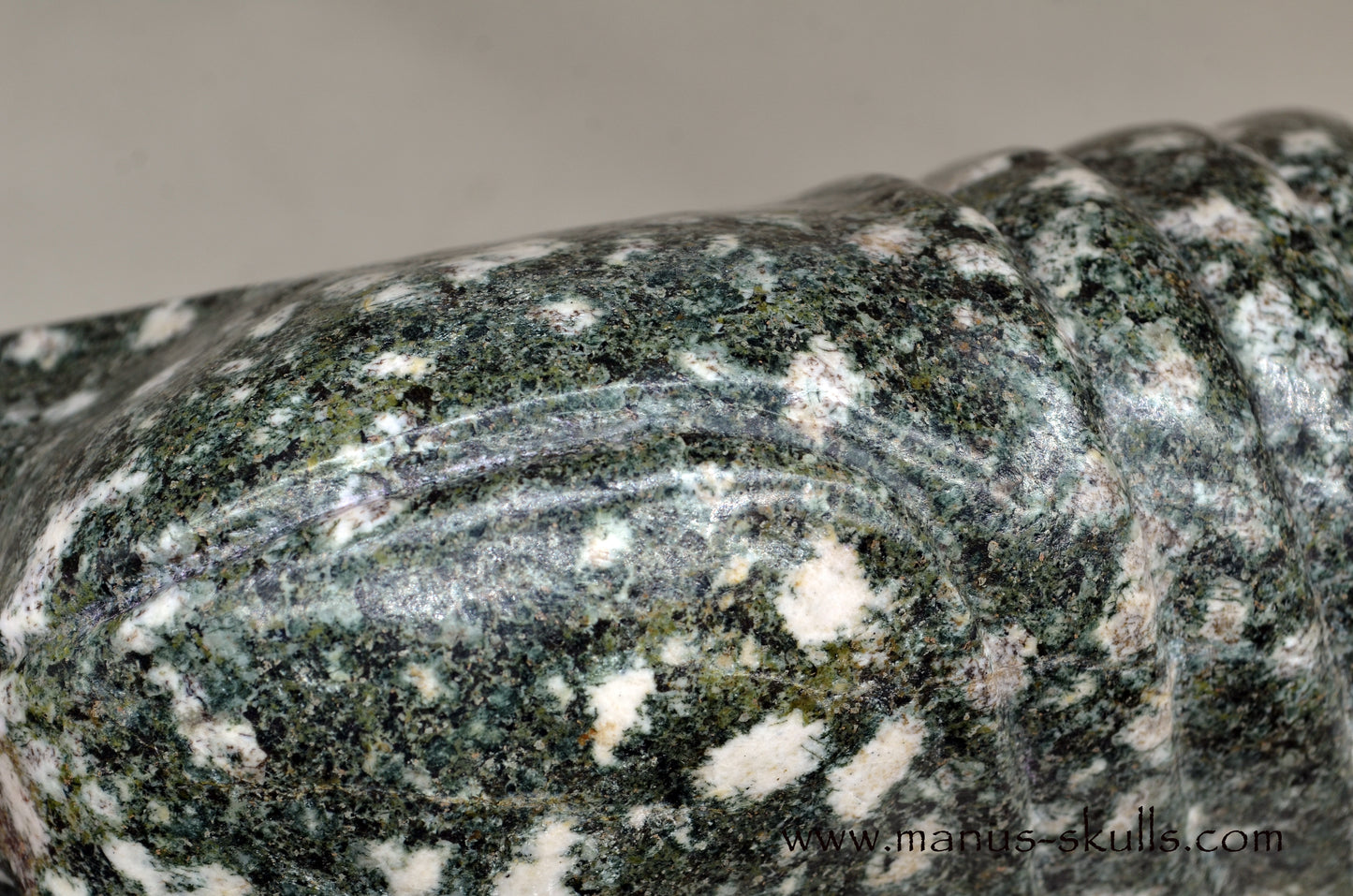 XL Preseli Bluestone Spiral Skull with FREE brainstem pendant!